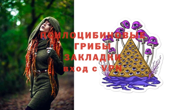 шишки Богородицк